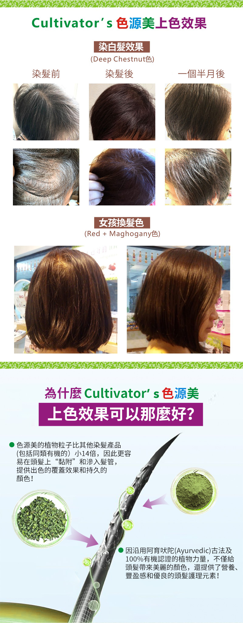 Cultivator's Organic Herbal Hair Color — Mahogany – Organic Times